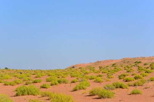 OMAN DESERT MARATHON | 165K 2016